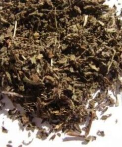 Psychoactive Herbs | Ocimum sanctum Holy Basil