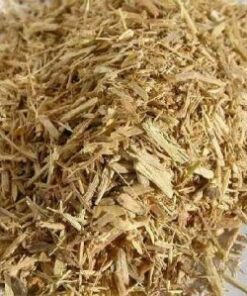 Psychoactive Herbs | Siberian ginseng  Eleutherococcus senticosus