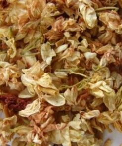 Psychoactive Herbs | Jasminum officinale  Flowers