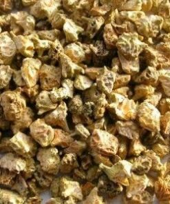 Psychoactive Herbs | Tribulus Terrestris  Bai Ji Li