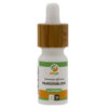 Pharmadelic | Paardenbloem 1:1 extract - Taraxacum officinale