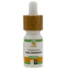 Pharmadelic | Rode zonnehoed 1:1 extract - Echinacea purpurea