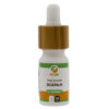 Pharmadelic | Zegepalm 1:1 extract - Sabal serrulata