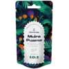 Canntropy Muira Puama (Ptychopetalum olacoides) Extract 10:1
