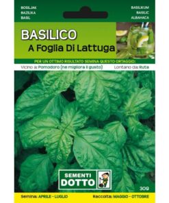 Sementi da Orto - Basilico a foglia di lattuga - Sem. Dotto