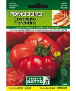 Sementi da Orto - Pomodoro Costoluto Fiorentino - Sem. Dotto