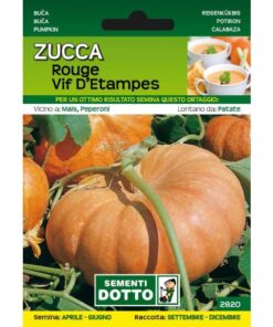 Sementi da Orto - Zucca Rouge Vif d'Etampes - Sem. Dotto
