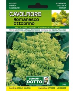 Sementi da Orto - Cavolfiore Romanesco Ottobrino - Sem. Dotto