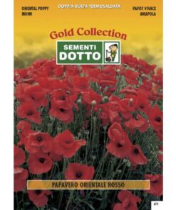 Gold Collection - PAPAVERO ORIENTALE rosso - h cm 90