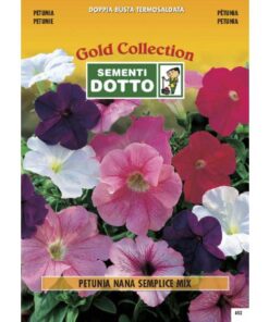 Gold Collection - PETUNIA Nana semplice in mix - h cm 30