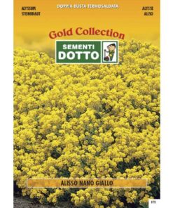 Gold Collection - ALISSO Giallo - h cm 30