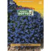 Gold Collection - LOBELIA blu scuro - h cm 20