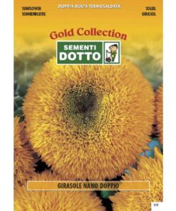 Gold Collection - GIRASOLE Nano Doppio - h cm 80