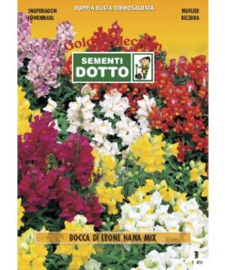 Gold Collection - BOCCA DI LEONE Nana in mix - h cm 20