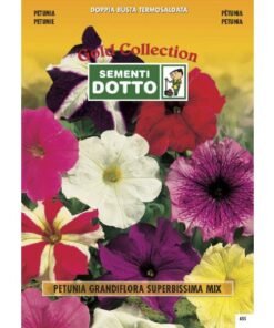 Gold Collection - PETUNIA Grandiflora superbissima in mix - h cm 30