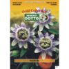 Gold Collection - PASSIFLORA - h cm 400