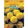 Gold Collection - TAGETE Nana Gialla - h cm 25