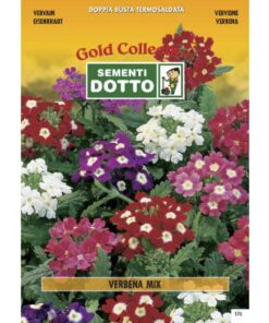 Gold Collection - VERBENA in mix - h cm 30