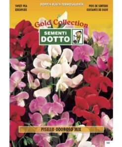 Gold Collection - PISELLO ODOROSO in mix - h cm 200