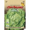 L’Orto Biologico - Lattuga Meraviglia D'Inverno