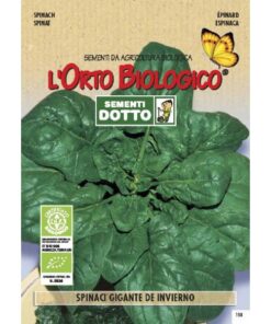 L’Orto Biologico - Spinacio Gigante De Invierno