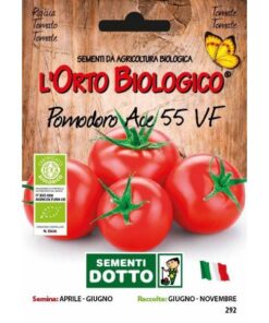 L’Orto Biologico - Pomodoro Ace 55