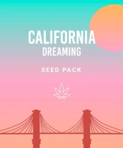 Royal Queen Seeds | Confezione “California Dreamin'”
