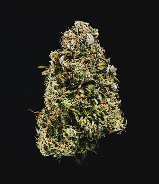 Royal Queen Seeds | Haze Berry Auto - immagine 7