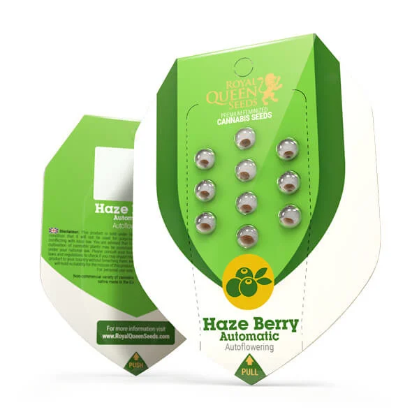Royal Queen Seeds | Haze Berry Auto - immagine 8