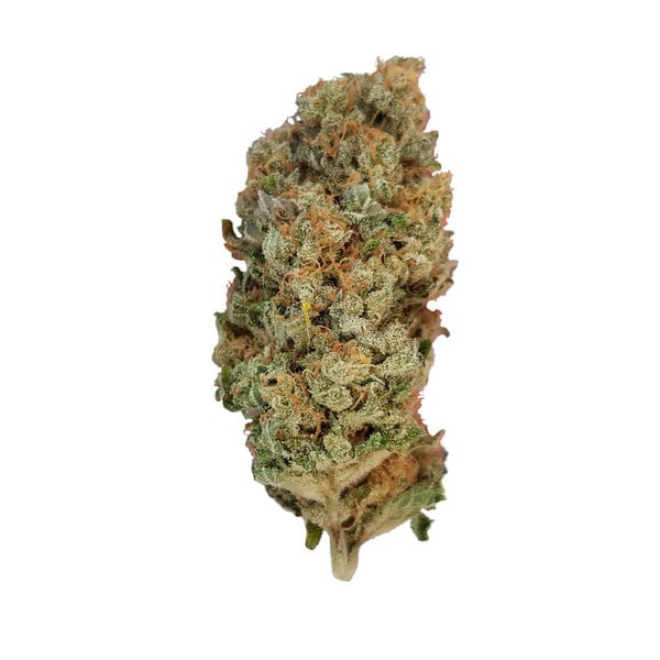 Royal Queen Seeds | Special Queen 1 - immagine 2