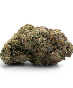  Super 24 | Purple Regular