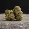 La Canapa Legale | Mango Hydroponic Indoor CBD Small Buds