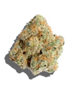  Super 24 | Fruit