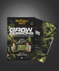 Greenhouse seeds | Grow Session 4