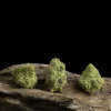 La Canapa Legale | Gelato CBD Hydroponic Indoor Small Buds