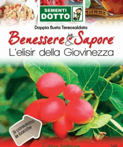 Benessere & Sapore - Semi di Goji