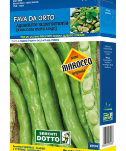 Sementi da Orto - Fava da orto Aguadulce supersimonia
