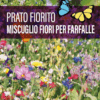 Prato Fiorito -Fiori per Farfalle – miscuglio di fiori per prati fioriti - Sem. Dotto