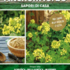 Kitchen Herbs - Senape- Sem. Dotto