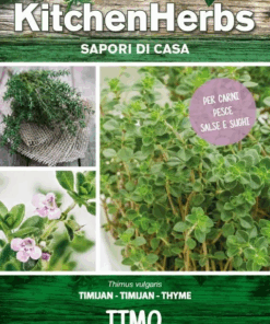 Kitchen Herbs - Timo- Sem. Dotto
