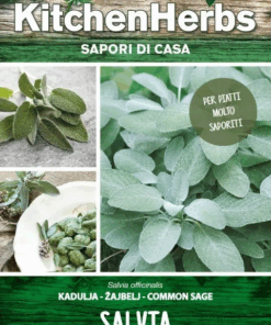 Kitchen Herbs - Salvia- Sem. Dotto