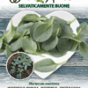 Wild Herbs - Erba Ostrica - Sem. Dotto