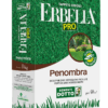 Sementi Dotto | Erbella Pro - Penombra – Sem. Dotto