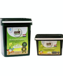 BIOTABS | Silicium Flash