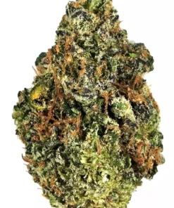  Super 24 | Lemon Haze