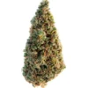  Super 24 | Royal Cheese