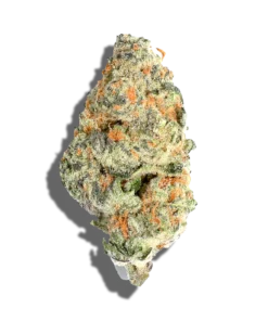  Super 24 | Strawberry