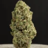 La Canapa Legale | Victory Haze CBD Indoor