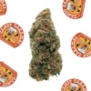 La Canapa Legale | Candy Caramel CBD