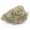 Sensimilla | Gelato 41 Indoor
